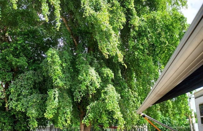 Confort y Relajacion - Foto 11