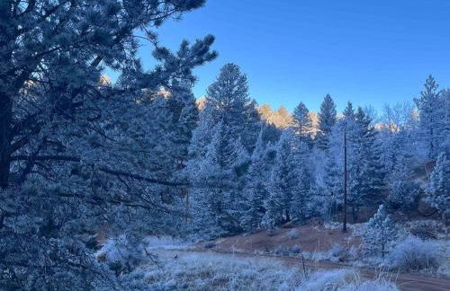 Cozy Cabin - Foto 22