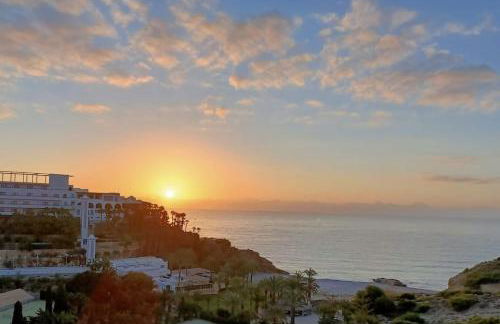 Sol Mediterráneo - Palm Beach 8 - Photo 16