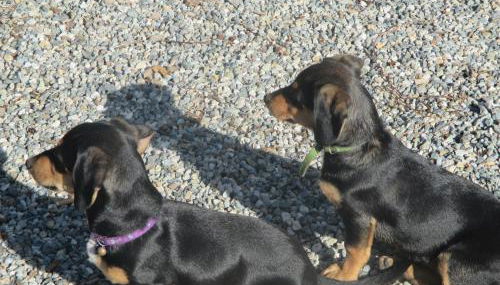 Ospitalità rurale La Svizzera - Photo 4