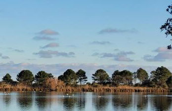 CASA DI SIGNARE - Foto 19