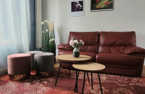 Appartements de Diane - JOIGNY - Foto 21