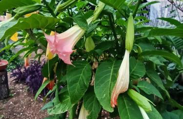 Apartmani Mislav - Photo 3