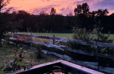 Au chant des oiseaux - rouge gorge - Foto 33