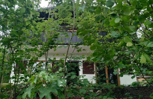 Ferienhaus Frankenglueck - Foto 6