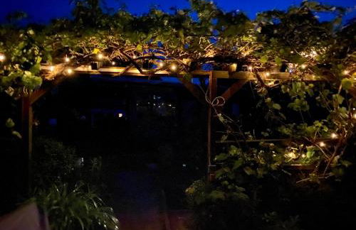 Ferienwohnungen Kapitänskajüte & Ausguck - Foto 12