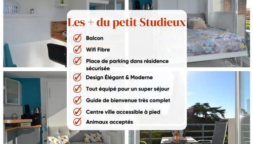 Le petit studieux - Parking - Animaux acceptés - Centre ville accessible à pied - Foto 5
