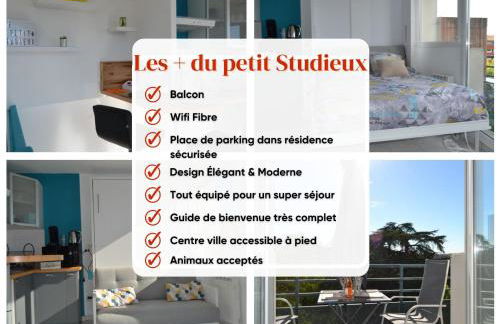 Le petit studieux - Parking - Animaux acceptés - Centre ville accessible à pied - Foto 5