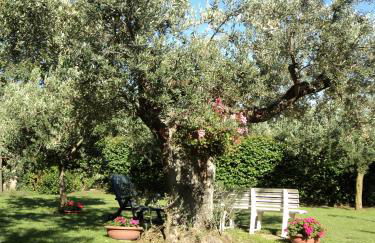 Agriturismo Villa Vetiche - Foto 62