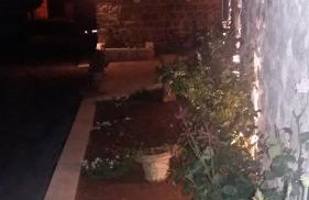 Country House Konavle - Foto 9