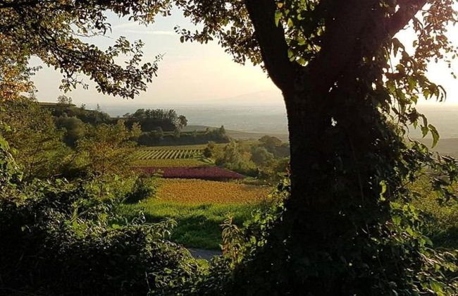Ferienwohnung in Bischoffingen - Foto 37
