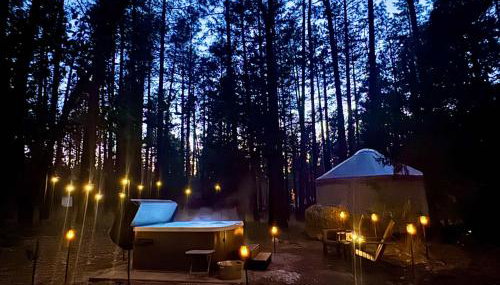 Wildland Aerie at Treehaus with Creekside Hot Tub Pets OK - Foto 3