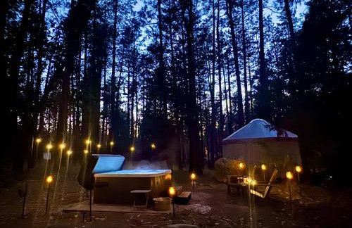 Wildland Aerie at Treehaus with Creekside Hot Tub Pets OK - Foto 3