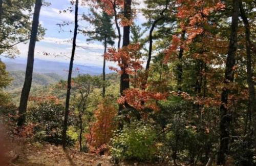 Ridgecrest A Unique Rustic Cabin in Blowing Rock NC - Foto 14