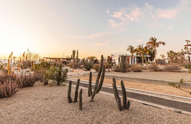 Hidden Leaf Baja Estate - Foto 5