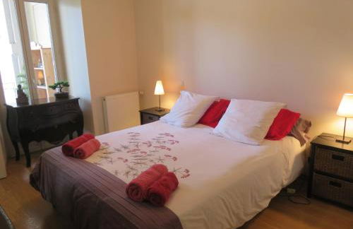 Le Balcon du Parc, entre Lourdes et Gavarnie - Foto 6