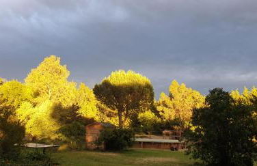 Roulotte en bois Sud France - Foto 28