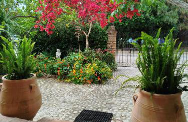 Athina's Mon Repo Apartment - Photo 10