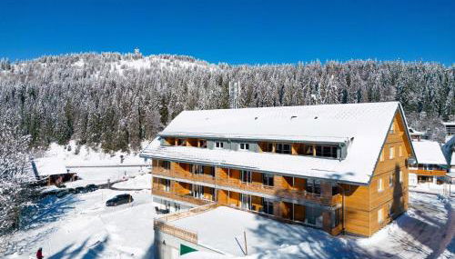 Wiesenquell Apartment Feldberg - Foto 2