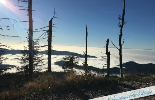 Fewo Nationalpark Schwarzwald - Foto 37