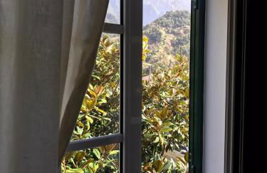 Palheirinho da Camélia - Foto 7