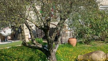 Le charme de Landra - Photo 4