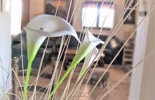 VILLA MARÍA - Foto 11