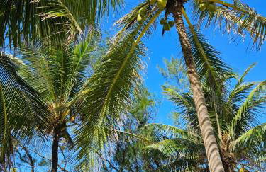 Farmhouse facing the sea, paradise - Foto 5