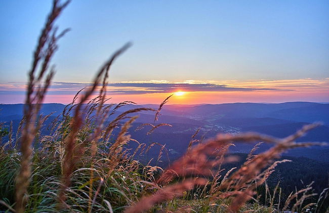 Ferienwohnung in Bodenmais am Grossen Arber - Foto 16