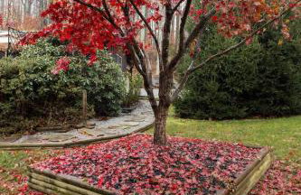 Home with Sauna & Hot Tub & Lake Access - Foto 7