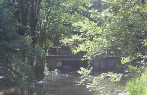 Waldblick Forest Retreat - Foto 57