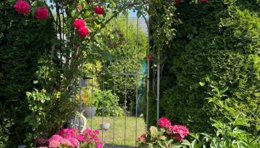 Zum Sternberg - Foto 1