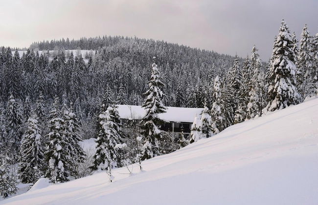 Apartment in Haidmuhle With Balcony or Terrace - Foto 22