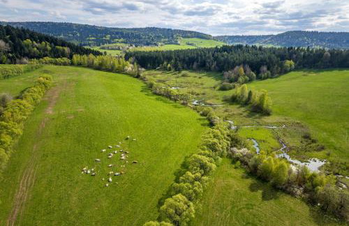 Pastelova Krova - domki w Bieszczadach - Foto 57