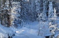 Les Grangettes 2 - DUPLEX - WIFI gratuite - Foto 16