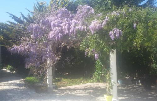 Villa Amadeus Xabia - Foto 33