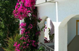 Apollon Hotel Apartments - Foto 32