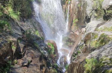 El portal de Beni - Foto 32