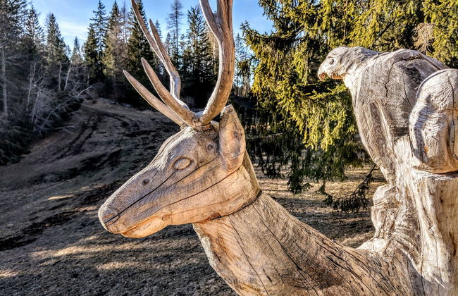 Casa Camilla Holiday - Photo 28