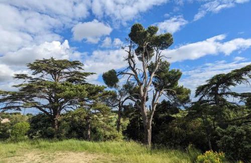 Maison boutet 9 - Foto 28