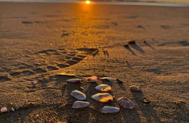 Apartament La Mata - Photo 69