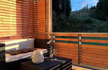 Stube9 am Feldberg, direkt an der Skipiste, Ski in-Ski out - Photo 35