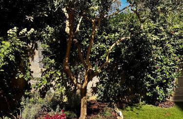 Gio's house - Foto 11