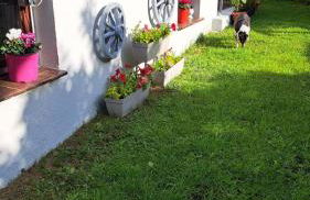 Ferienwohnung Friedrichsruh - Foto 11