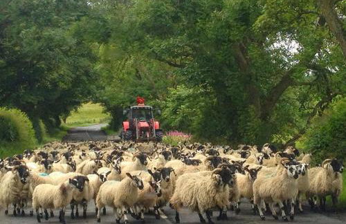 The Nook Cottage In The Heart Of Northumberland - Foto 28