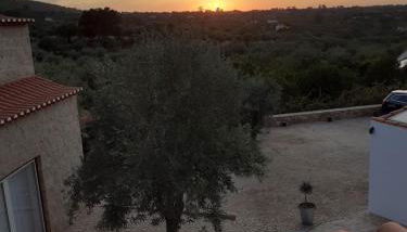 Aromas dos Salgueiros - Foto 3