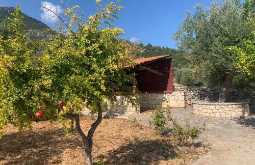 Pandora Villa - Foto 41