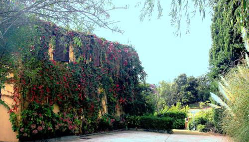 Residence Helios - Foto 2, Garden