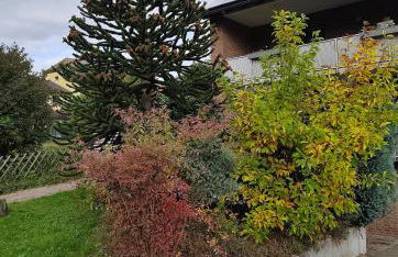 Amaleo Apartments Siegburg - Foto 23