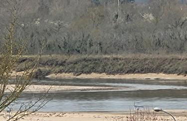 Joli appartement avec vue sur la Loire - Foto 27